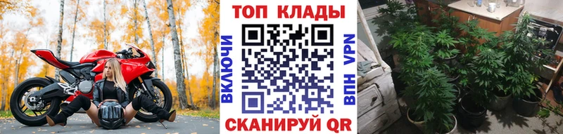 Где найти наркотики Тайшет NBOMe  Мефедрон  МЕТАМФЕТАМИН  Конопля  Амфетамин 