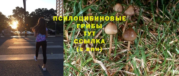 мескалин Алексеевка