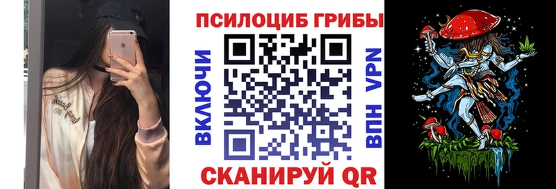 Псилоцибиновые грибы Magic Shrooms где можно купить наркотик Тайшет